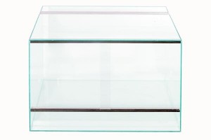 Terrarium Verre
